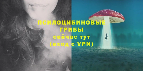 ALPHA-PVP Алексеевка