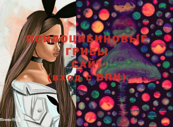 скорость Алзамай
