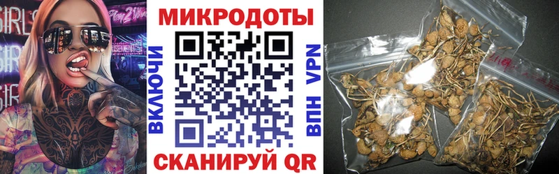 Псилоцибиновые грибы Magic Shrooms  Новотитаровская 